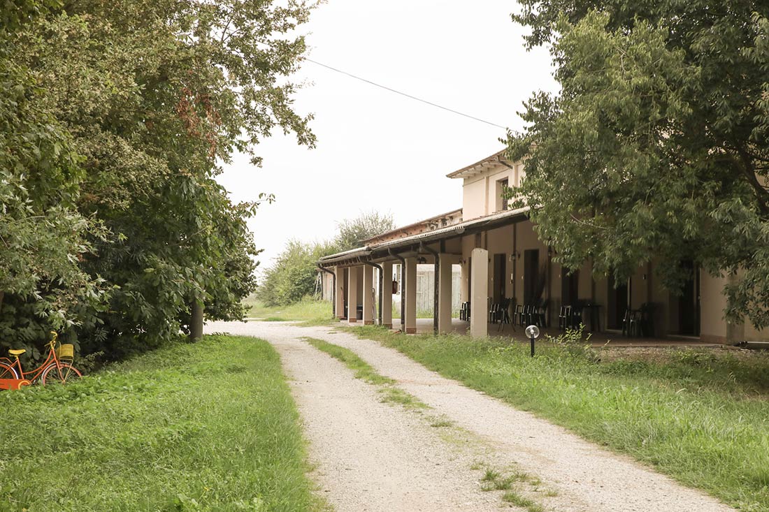 Viale e strutture dell'agriturismo